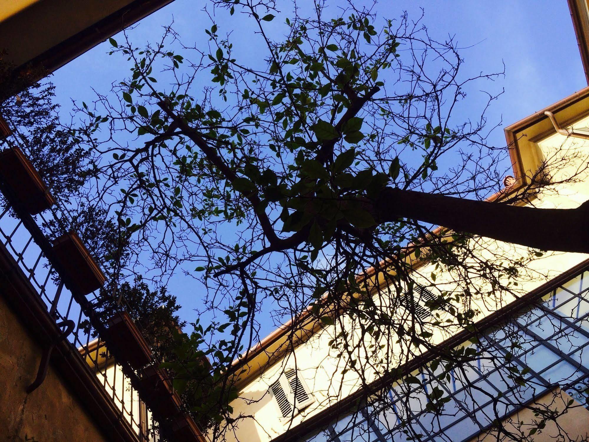 Locanda San Marco Residenza Caluri Pistoia Eksteriør bilde